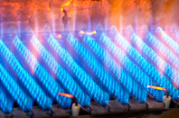 Plenmeller gas fired boilers